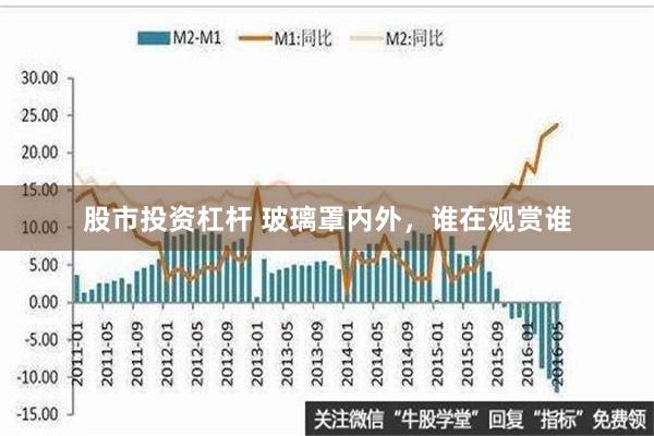 股市投资杠杆 玻璃罩内外，谁在观赏谁