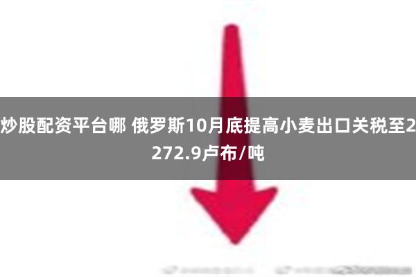 炒股配资平台哪 俄罗斯10月底提高小麦出口关税至2272.9卢布/吨