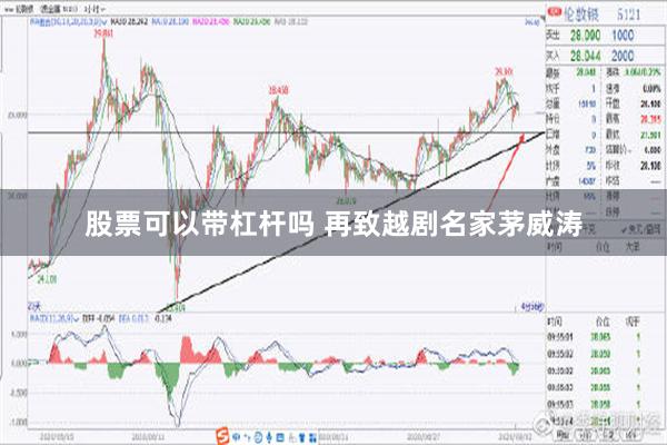 股票可以带杠杆吗 再致越剧名家茅威涛