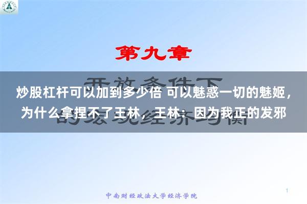 炒股杠杆可以加到多少倍 可以魅惑一切的魅姬，为什么拿捏不了王林，王林：因为我正的发邪