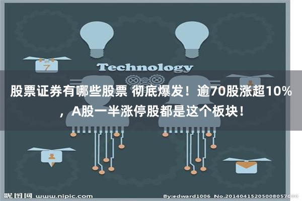 股票证券有哪些股票 彻底爆发！逾70股涨超10%，A股一半涨停股都是这个板块！