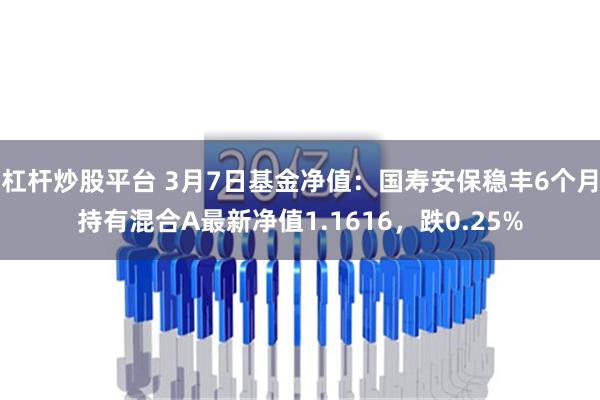 杠杆炒股平台 3月7日基金净值：国寿安保稳丰6个月持有混合A最新净值1.1616，跌0.25%